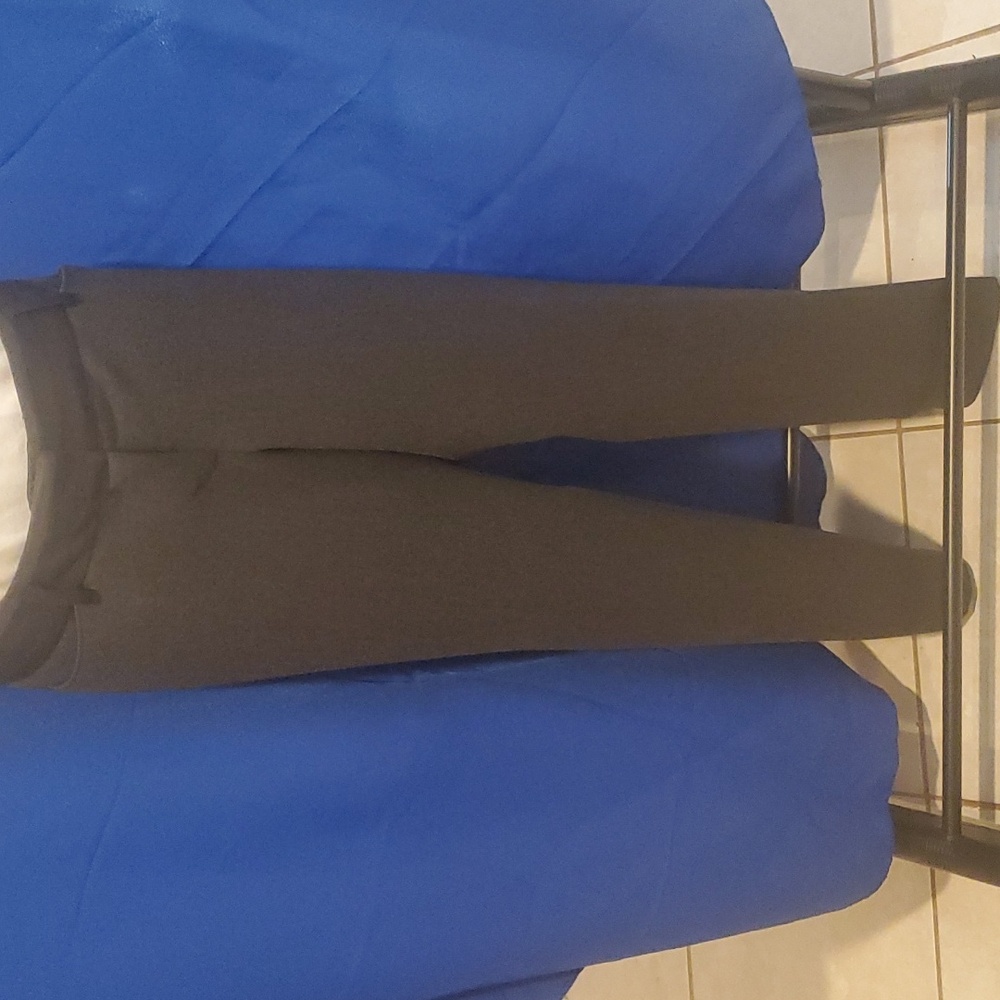 Express Editor Dress Pants